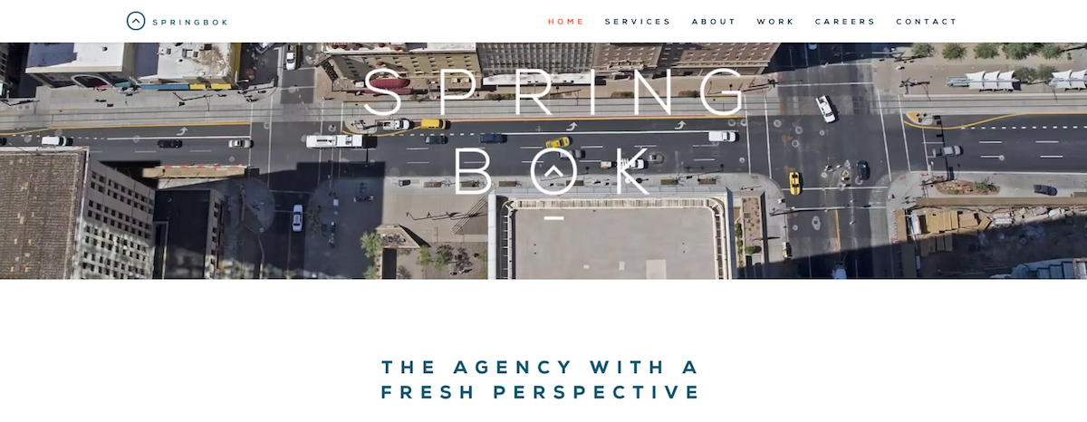 springbok digital agency